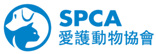 SPCA - Showcase - Web Design Company Hong Kong | Digital Agency HK - YSD