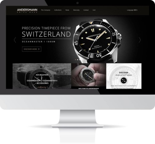 Web Design - Andersmann