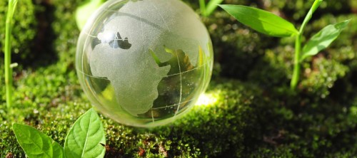 Friends Of The Earth (HK) Charity Limited