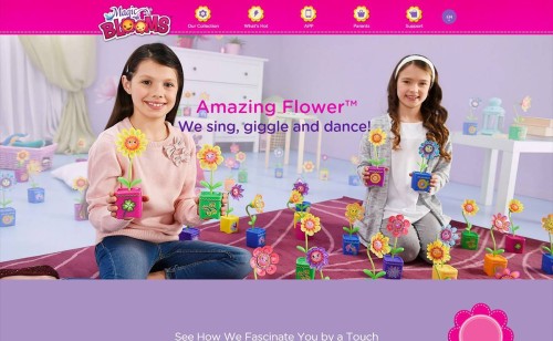 Web Design - Silverlit