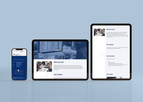 Web Design - Yau And Wong CPA