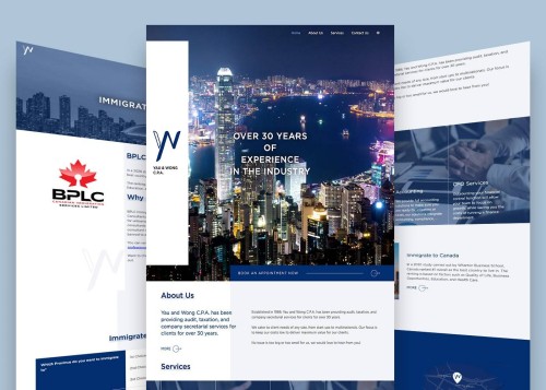 Web Design - Yau And Wong CPA