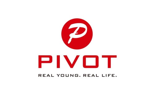 Branding - Mobile Link Technology Ltd. (Pivot)