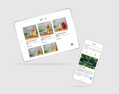 Web Design - MZK Life Store