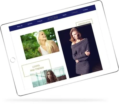 网站设计: Astoni Far East Limited