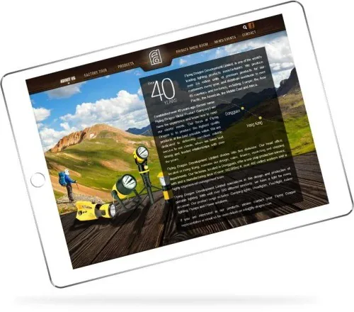 Web Design: Flying Dragon Development Limited