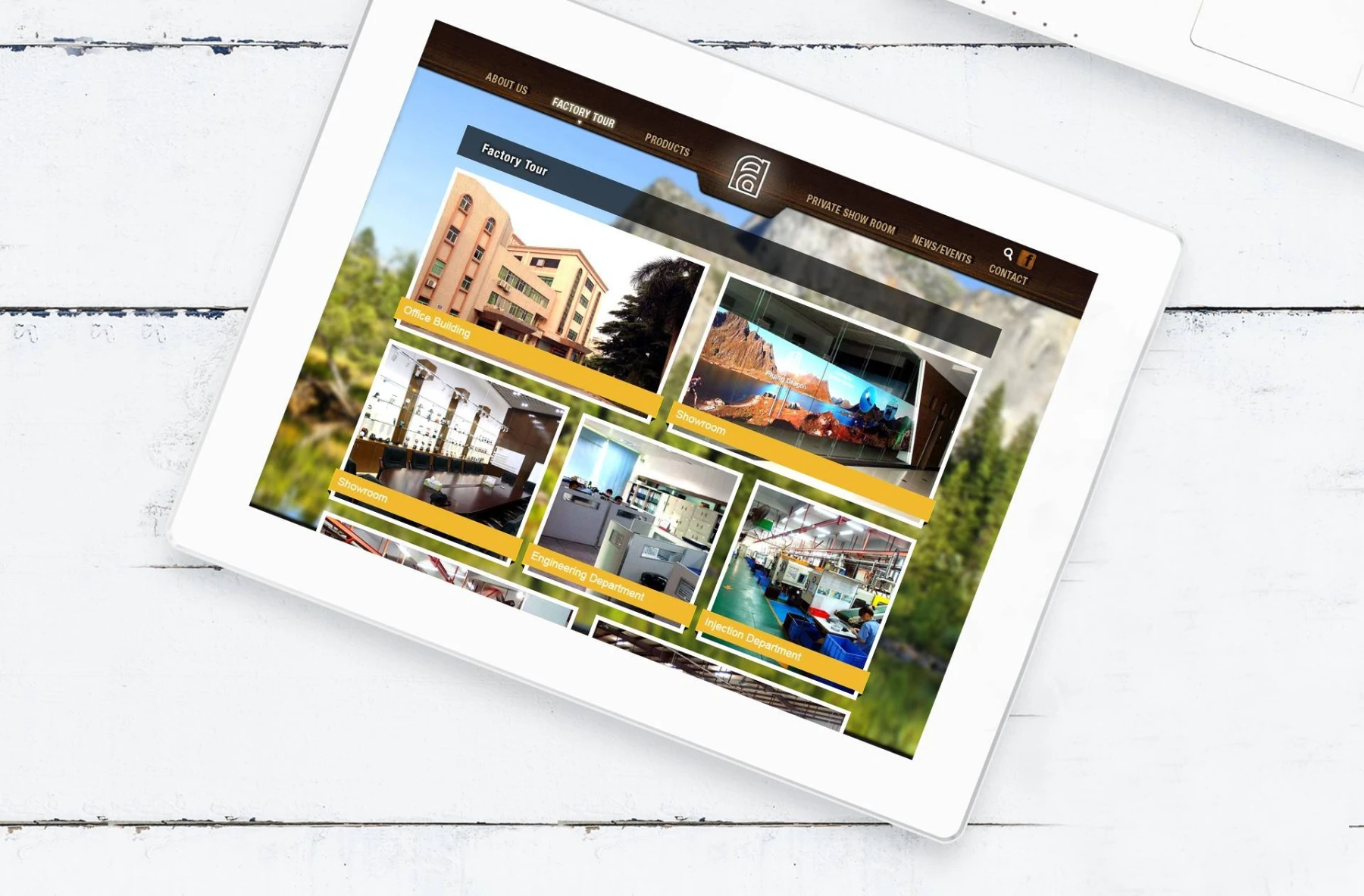 fly dragon detailpage 6