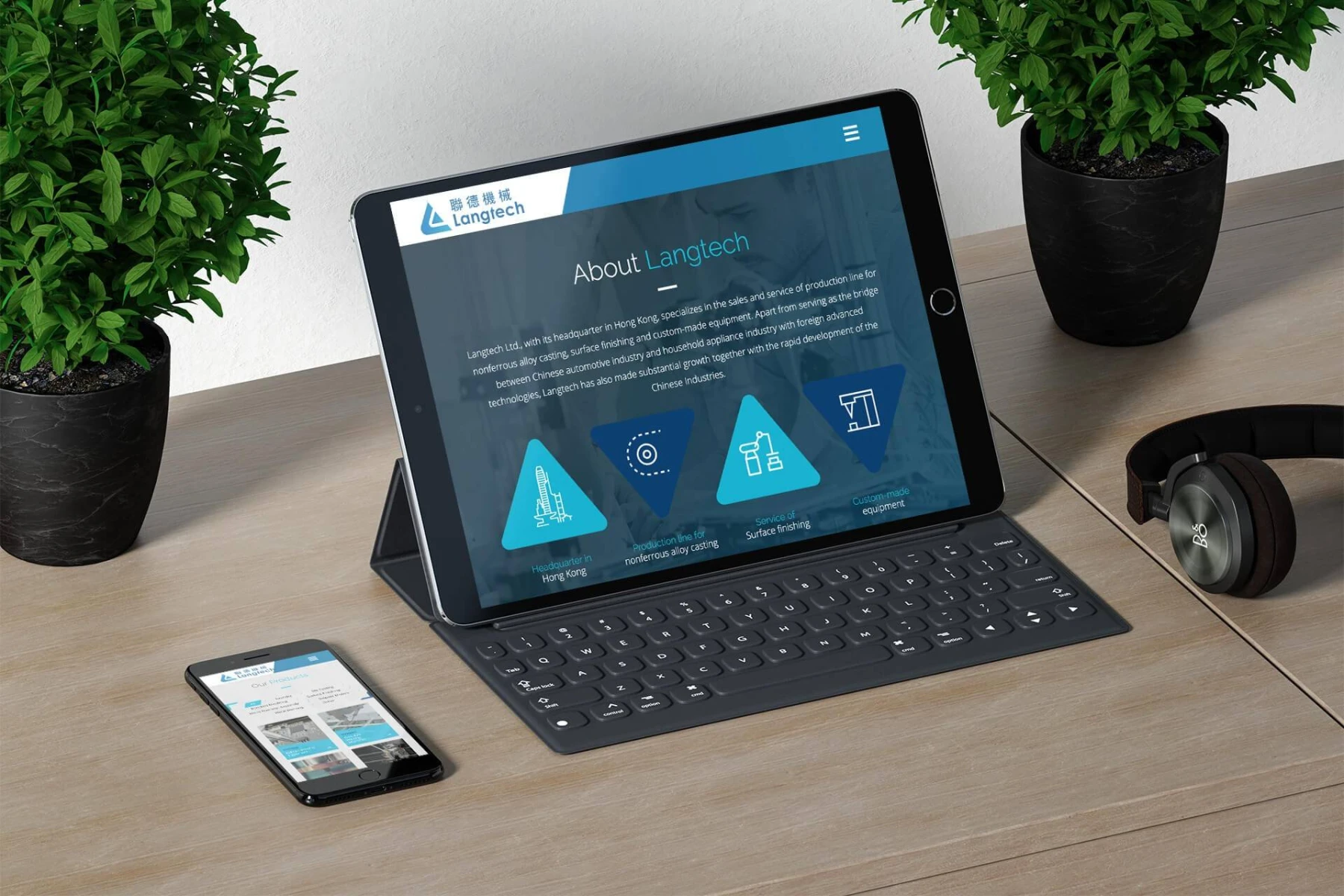 langtech detailpage 1