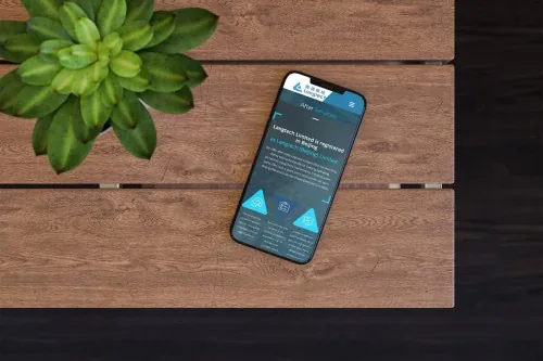 Web Design: Langtech Limited