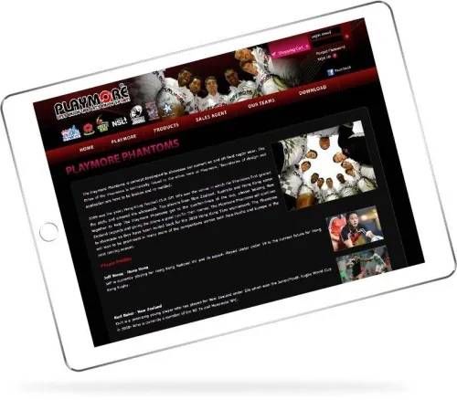 网站设计: Playmore