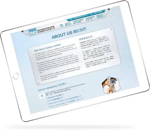 Web Design: Web Alarm system limited