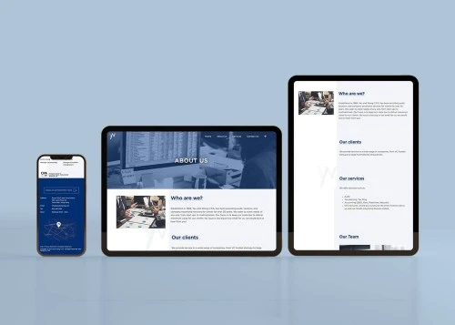 Web Design: Yau And Wong C.P.A.