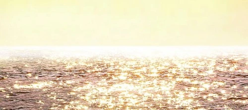 網站設計: JILL STUART Crystal Bloom