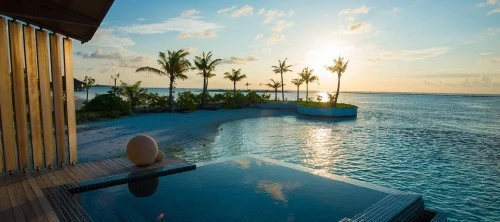 网上营销: 眼镜猴植物园