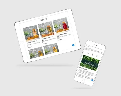 Web Design: MZK Life Store