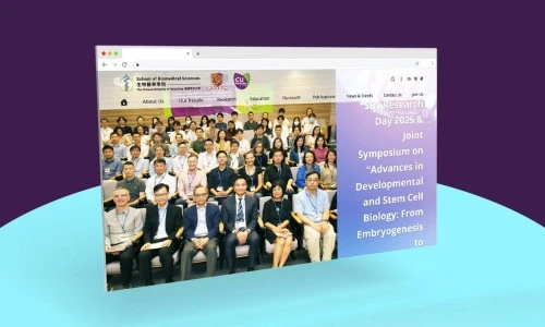 Web Design: CUHK - School of Biomedical Sciences