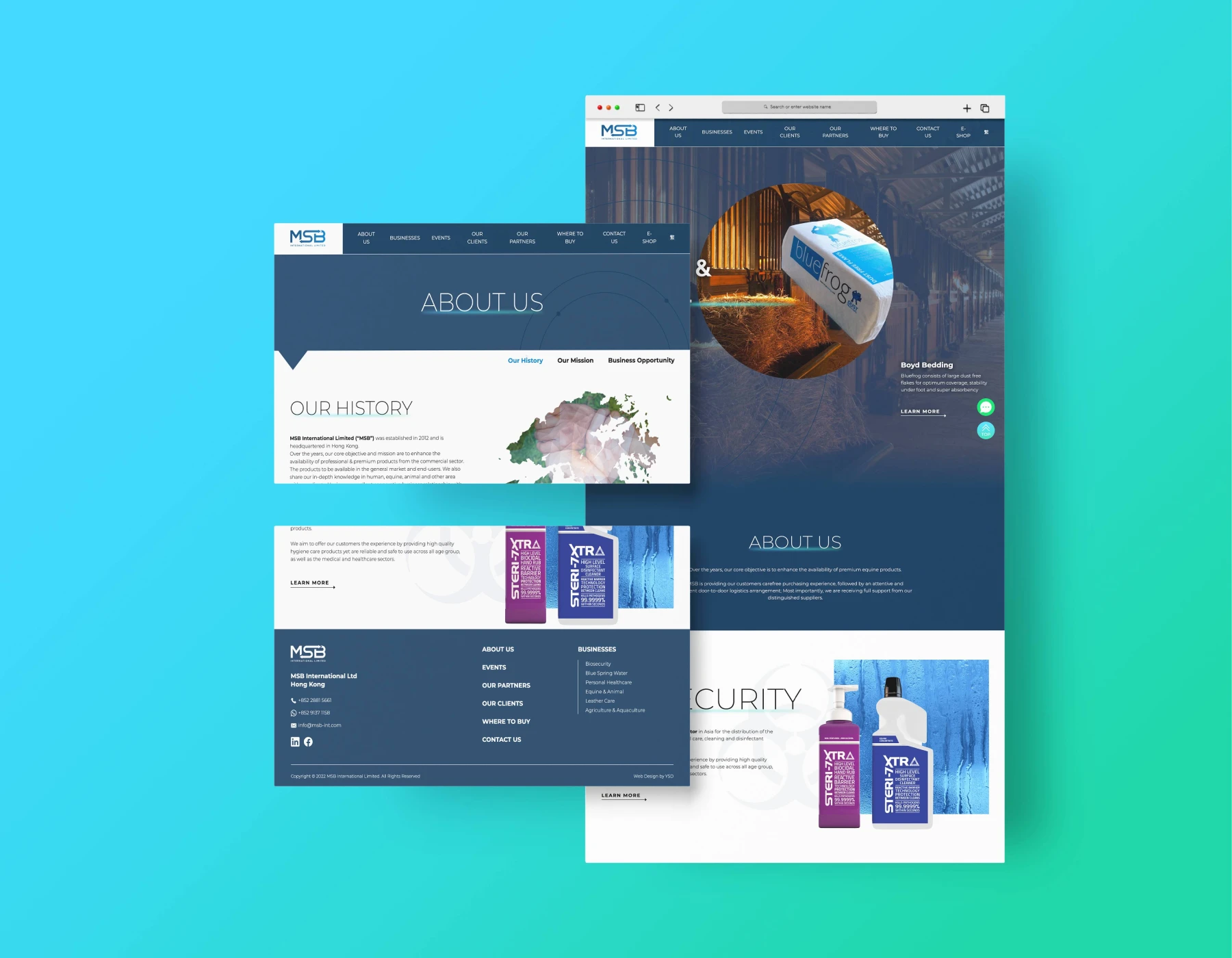 msb int detailpage 01