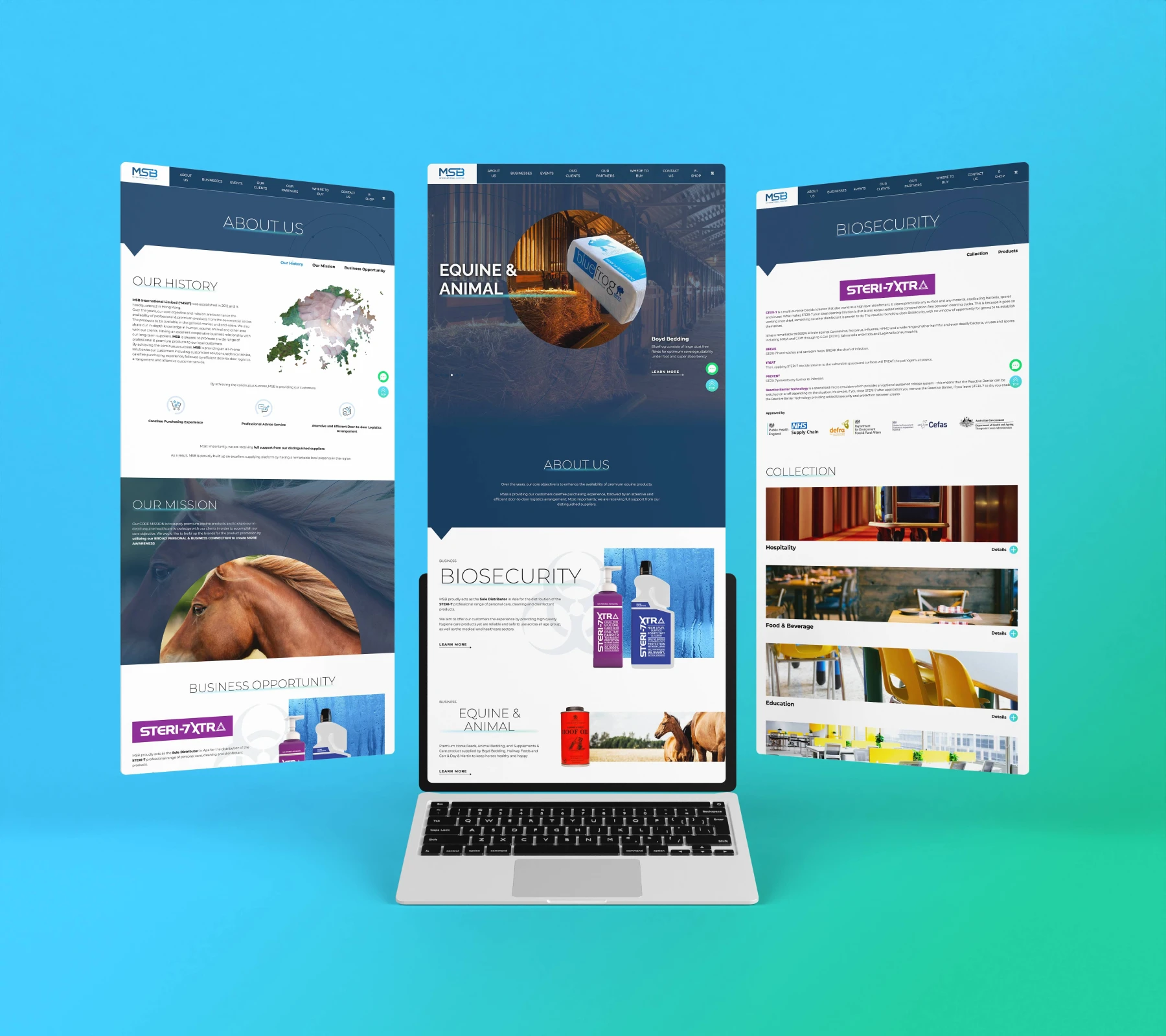 msb int detailpage 02