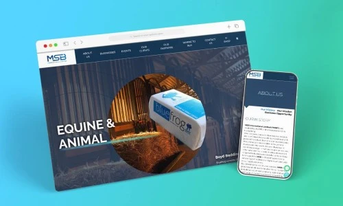 Web Design: MSB International Limited