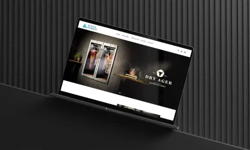 Web Design: Langtech Limited