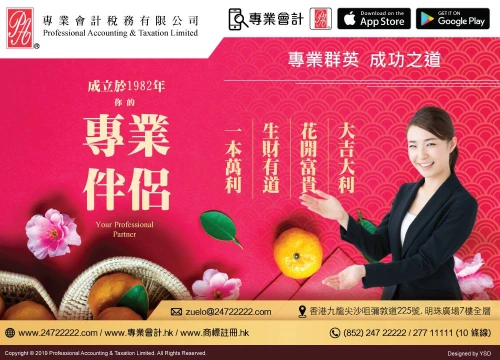 Branding: Professional Accounting and Taxation Limited